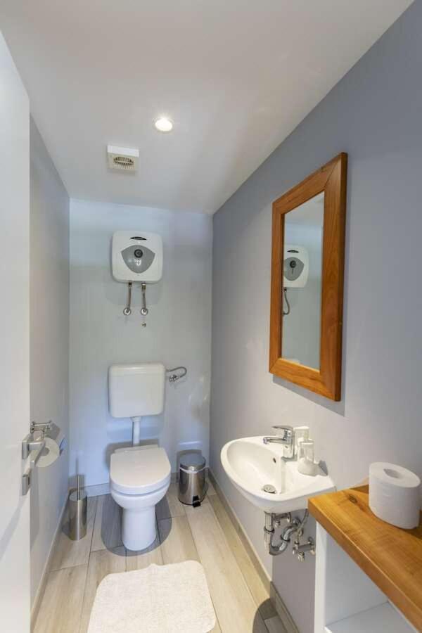 Villa Viscum In Central Istria For 8 Persons With Large Garden - Pet Friendly Pazin Dış mekan fotoğraf